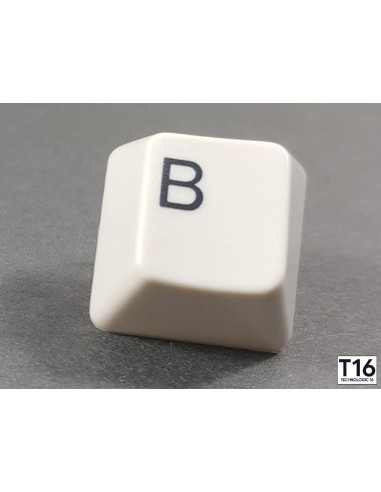 Azerty Amiga 500 Model 1 key - Diver + spring included