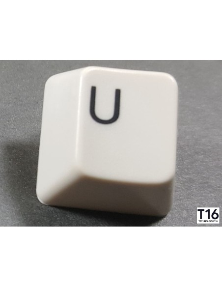 Azerty Amiga 500 Model 1 key - Diver + spring included