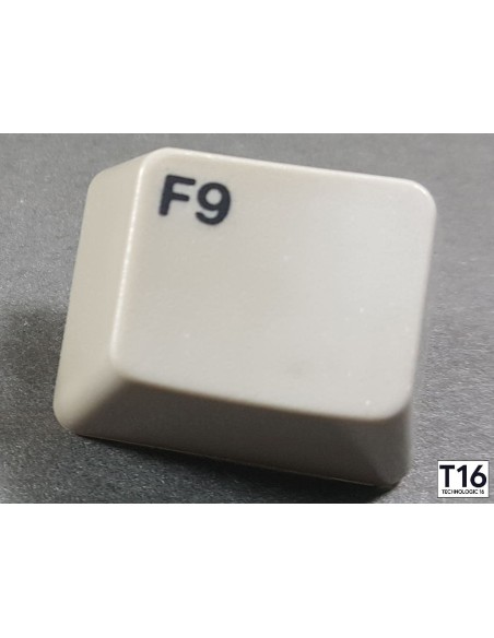 Azerty Amiga 500 Model 1 key - Diver + spring included