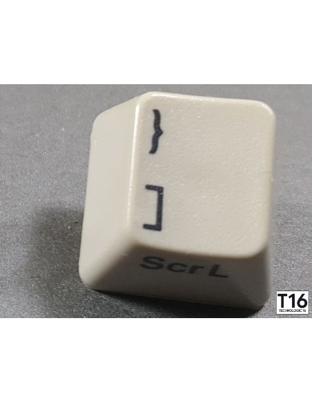 Touche AZERTY Amiga 500 Modèle 1 – Plongeur + ressort inclus
