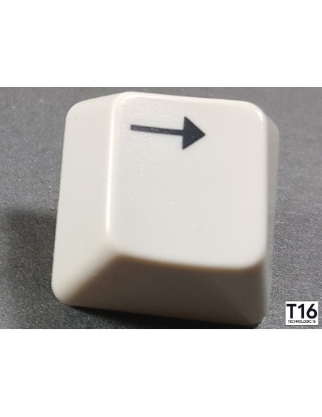 Touche AZERTY Amiga 500 Modèle 1 – Plongeur + ressort inclus